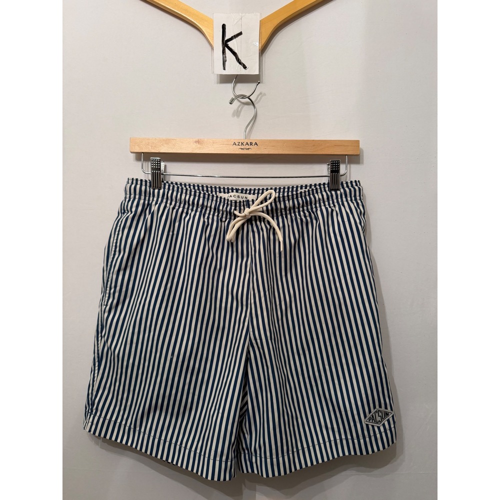 PacSun Swim Trunks Vertical Stripe Navy Blue White Mens Size M